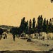 Фотогалерея Геленджика  Фото № 69